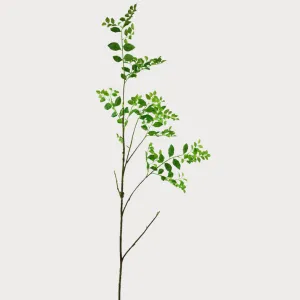 55" Wild Wisteria Stem