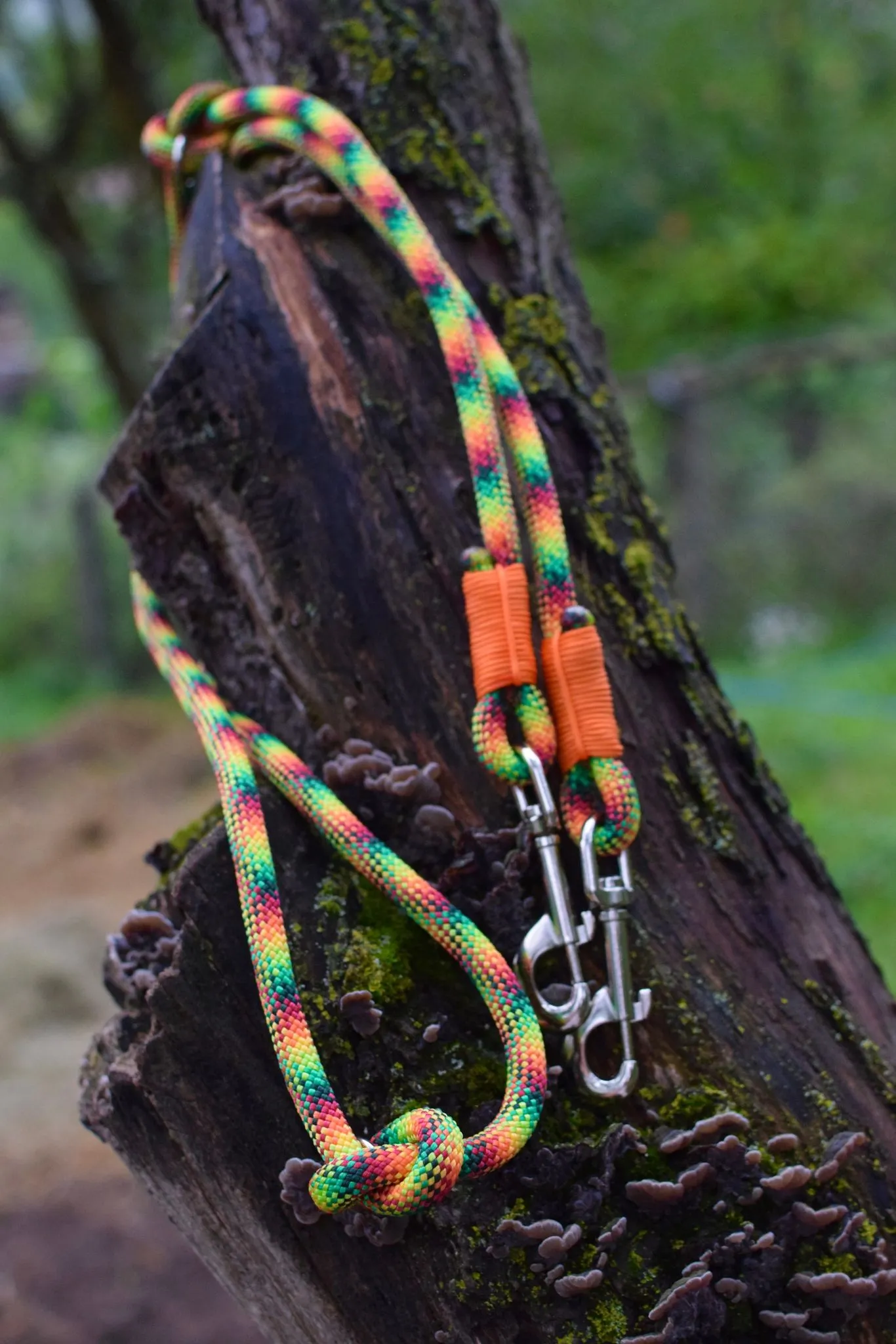 Hands Free Gummi Bears Dog Leash
