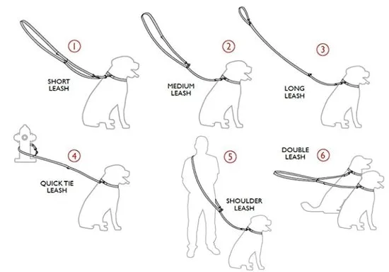 Hands Free Gummi Bears Dog Leash