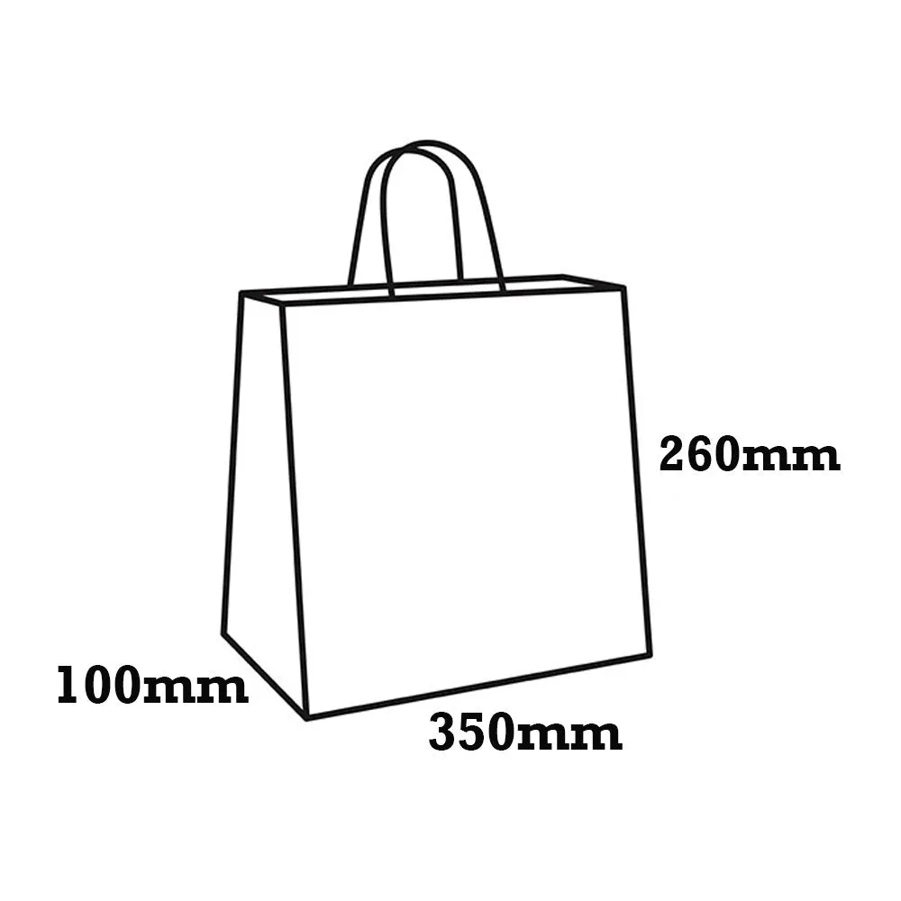 Medium Boutique Brown Twisted Handle Paper Bag