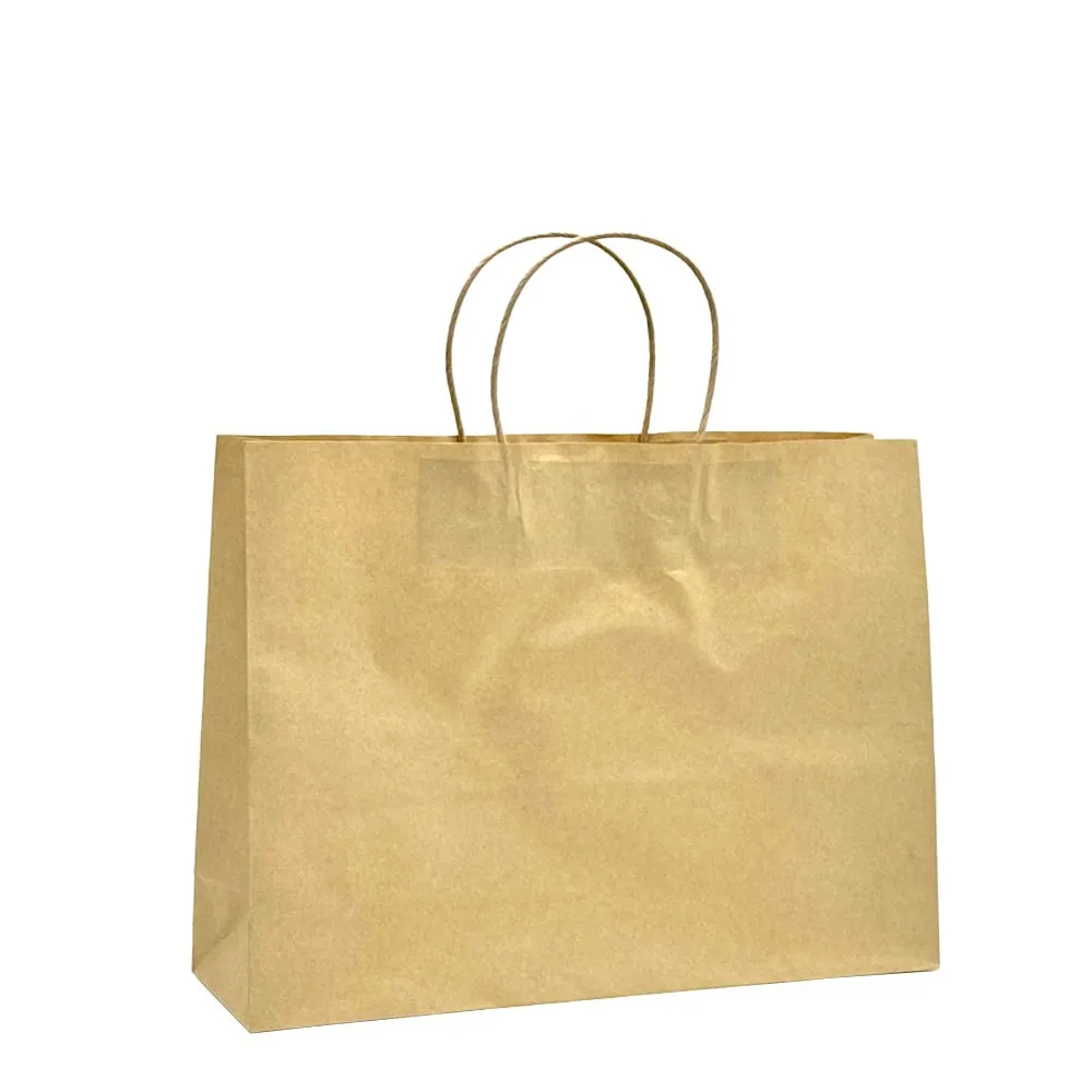 Medium Boutique Brown Twisted Handle Paper Bag