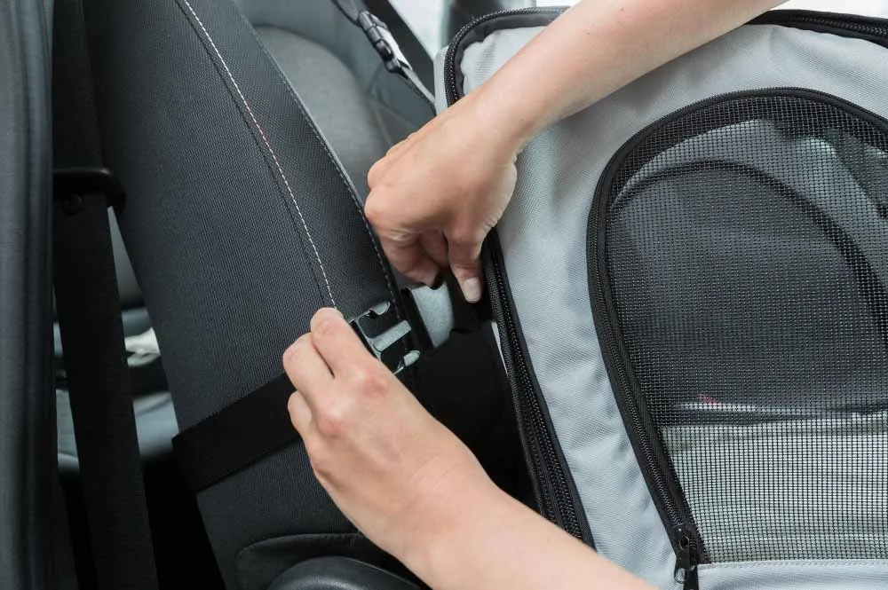 Trixie Car Seat 44 × 37 × 40 cm
